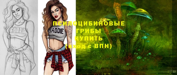 дурь Кодинск